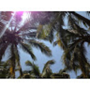 Meet your Posher, Mackenzie